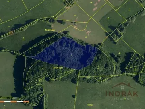Prodej lesa, Nový Jičín, Na Samotě, 13092 m2
