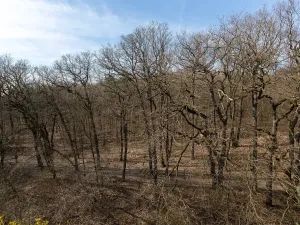 Prodej bytu 3+1, Praha - Kobylisy, Jelínkova, 63 m2