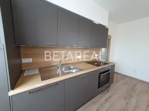 Pronájem bytu 1+kk, Brno, Plotní, 49 m2
