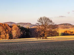 Prodej zemědělské usedlosti, Šebířov, 120 m2