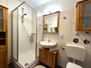 Prodej bytu 2+1, Železná Ruda, 53 m2