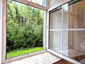 Prodej bytu 2+1, Železná Ruda, 53 m2