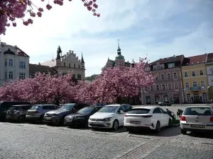 Pronájem bytu 1+kk, Děčín, Pohraniční, 20 m2