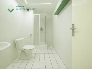 Pronájem kanceláře, Praha - Holešovice, Dělnická, 44 m2