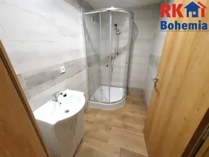 Pronájem bytu 4+kk, Litvínov, Hamerská, 68 m2