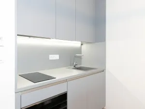 Pronájem bytu 1+kk, Praha - Žižkov, Jana Želivského, 39 m2