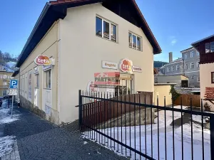 Prodej obchodního prostoru, Vimperk, Sadová, 920 m2