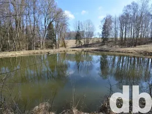 Prodej rybníku, Toužim, 5506 m2
