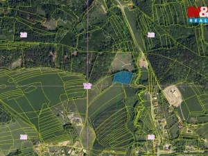 Prodej louky, Mikulůvka, 4458 m2