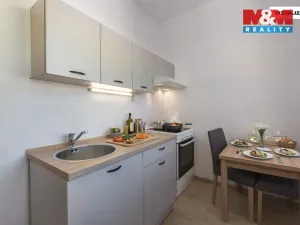 Prodej bytu 1+1, Ústí nad Labem - Severní Terasa, Šrámkova, 34 m2