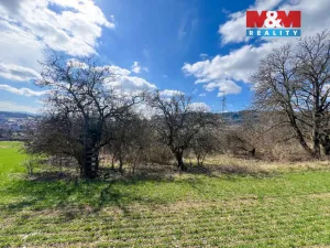 Prodej pole, Sušice - Sušice II, 5140 m2