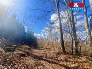 Prodej louky, Sušice - Sušice III, 8056 m2