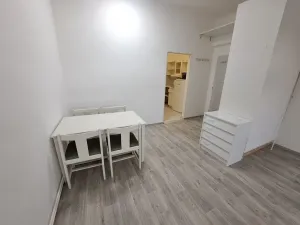 Pronájem bytu 1+kk, Hradec Králové, Buzulucká, 30 m2