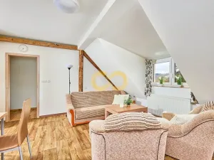 Prodej rodinného domu, Černá v Pošumaví, 330 m2