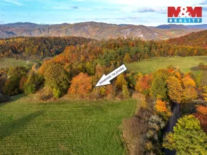 Prodej louky, Ústí nad Labem - Svádov, 14398 m2