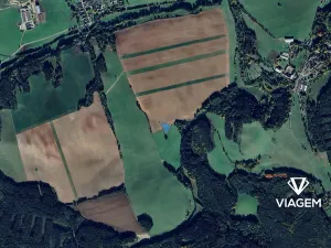 Prodej pole, Nečtiny, 3413 m2