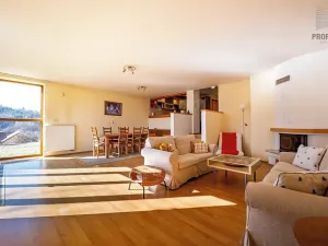 Prodej rodinného domu, Šebrov-Kateřina, 285 m2