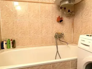 Pronájem chalupy, Čestín, 350 m2