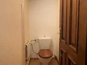 Pronájem chalupy, Čestín, 350 m2