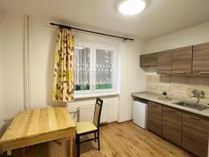 Pronájem bytu 1+1, Litvínov - Chudeřín, Horská, 42 m2