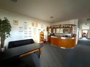 Pronájem ostatní, Brno - Lesná, Nejedlého, 19 m2