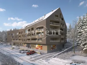 Prodej bytu 2+kk, Železná Ruda, 63 m2