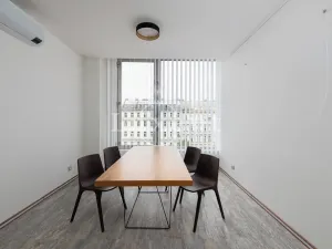 Pronájem kanceláře, Praha - Nové Město, Václavské náměstí, 475 m2