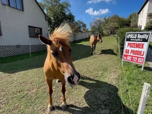 Prodej pozemku pro bydlení, Pašovice, 1279 m2