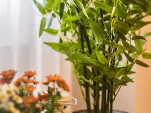 Pronájem bytu 1+1, Praha - Holešovice, Plynární, 37 m2