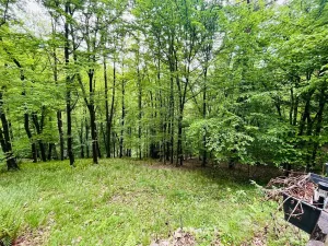 Prodej chaty, Kaliště, 30 m2