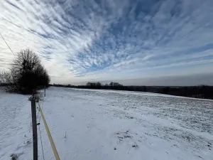 Prodej louky, Bruzovice, 94427 m2