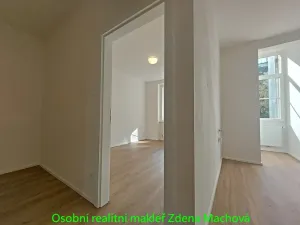 Pronájem bytu 1+1, Praha - Vinohrady, Písecká, 52 m2