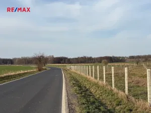 Prodej sadu/vinice, Nové Dvory, 9979 m2