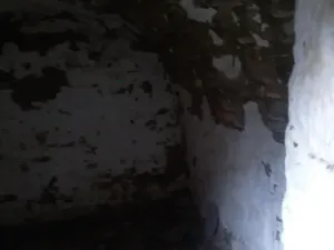 Dražba - jiné, Brumov-Bylnice, 29 m2