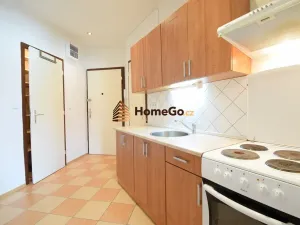 Pronájem bytu 1+1, Praha - Nusle, U gymnázia, 46 m2