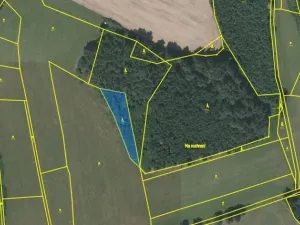 Prodej lesa, Čepřovice, 1644 m2