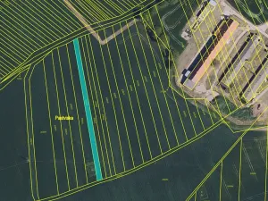 Prodej pole, Morkůvky, 6313 m2