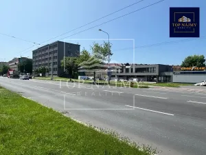 Pronájem skladu, Ostrava, Novinářská, 1000 m2