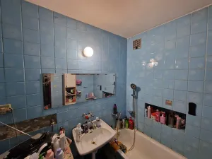 Prodej rodinného domu, Havířov, Jarní, 220 m2