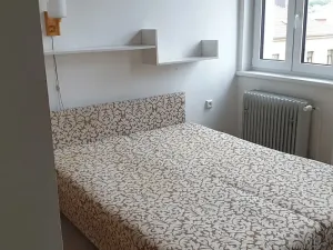 Pronájem bytu 2+1, Teplice, Josefa Suka, 65 m2