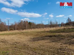 Prodej pozemku pro bydlení, Loket, 8068 m2