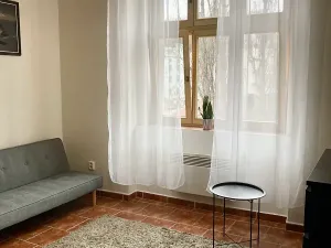 Pronájem bytu 1+kk, Praha - Košíře, Vrchlického, 25 m2