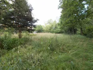 Prodej louky, Velký Šenov - Leopoldka, 3266 m2