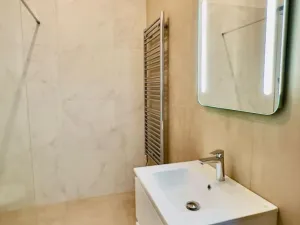 Pronájem bytu 2+kk, Opava - Předměstí, Riegrova, 56 m2