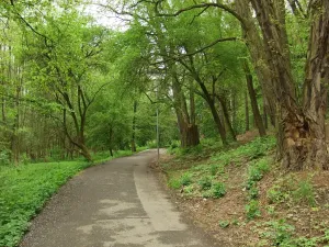 Pronájem bytu 1+kk, Praha, Milánská, 35 m2