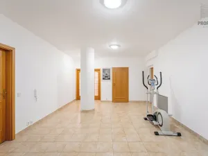 Prodej bytu 4+kk, Brno, 167 m2