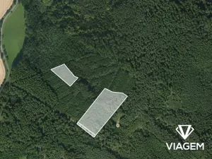 Prodej lesa, Březina, 18560 m2
