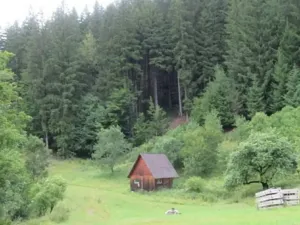 Dražba louky, Velké Karlovice, 24946 m2