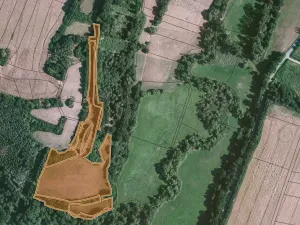 Prodej louky, Louňovice pod Blaníkem, 56889 m2