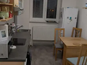 Pronájem pokoje, Mladá Boleslav, Palackého, 15 m2